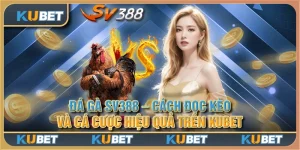 Đá gà sv388 - Cách đọc kèo và cá cược hiệu quả trên Kubet