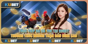 Trực tiếp đá gà tre tại Kubet - Thưởng thức những trận đấu đỉnh cao