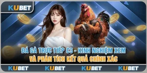 đá gà trực tiếp c3